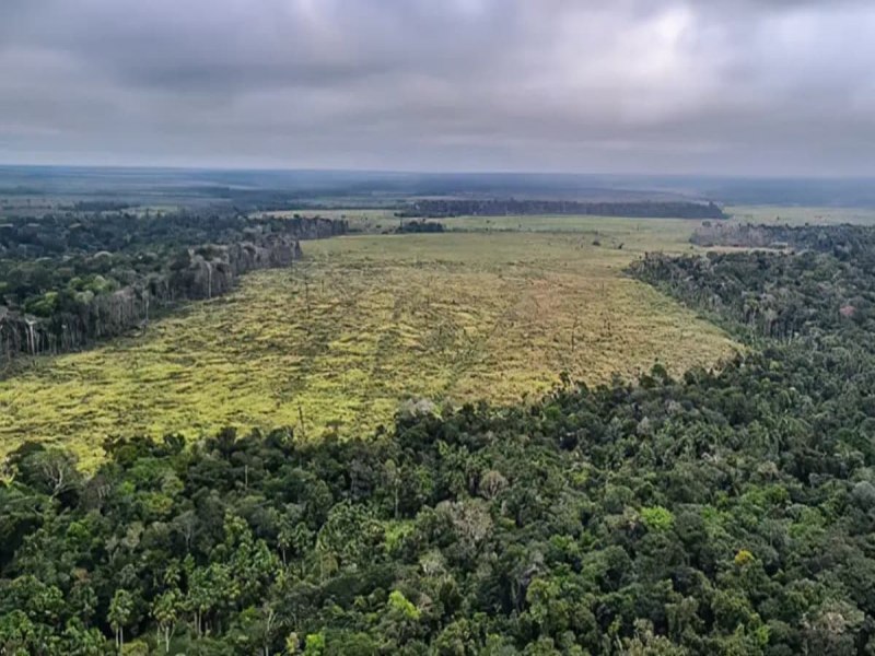 Degradao de florestas na Amaznia bate recorde mensal em setembro